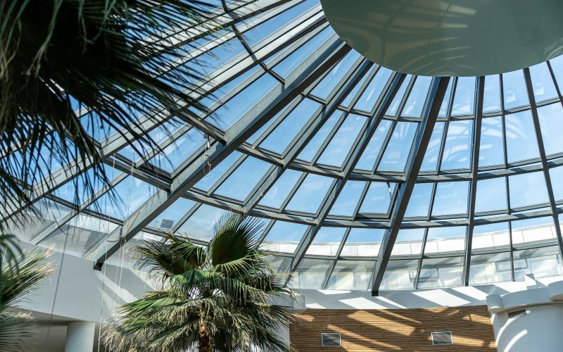 a palm tree inside of a large building