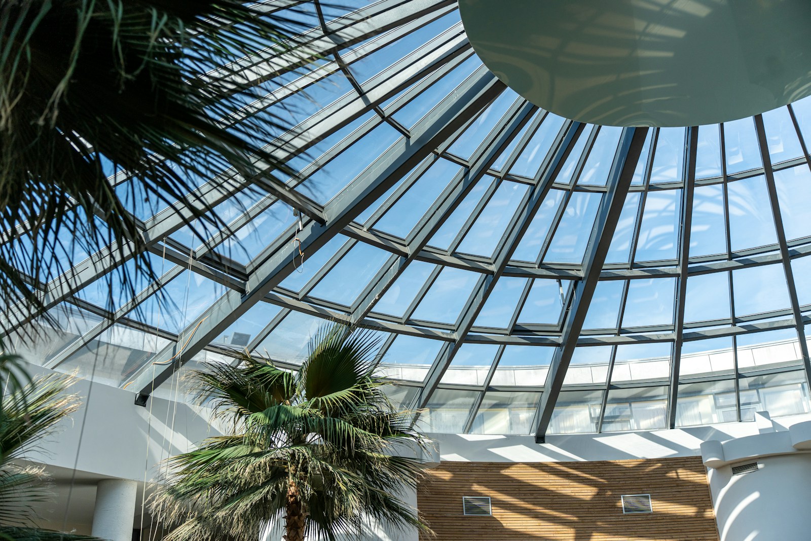 a palm tree inside of a large building